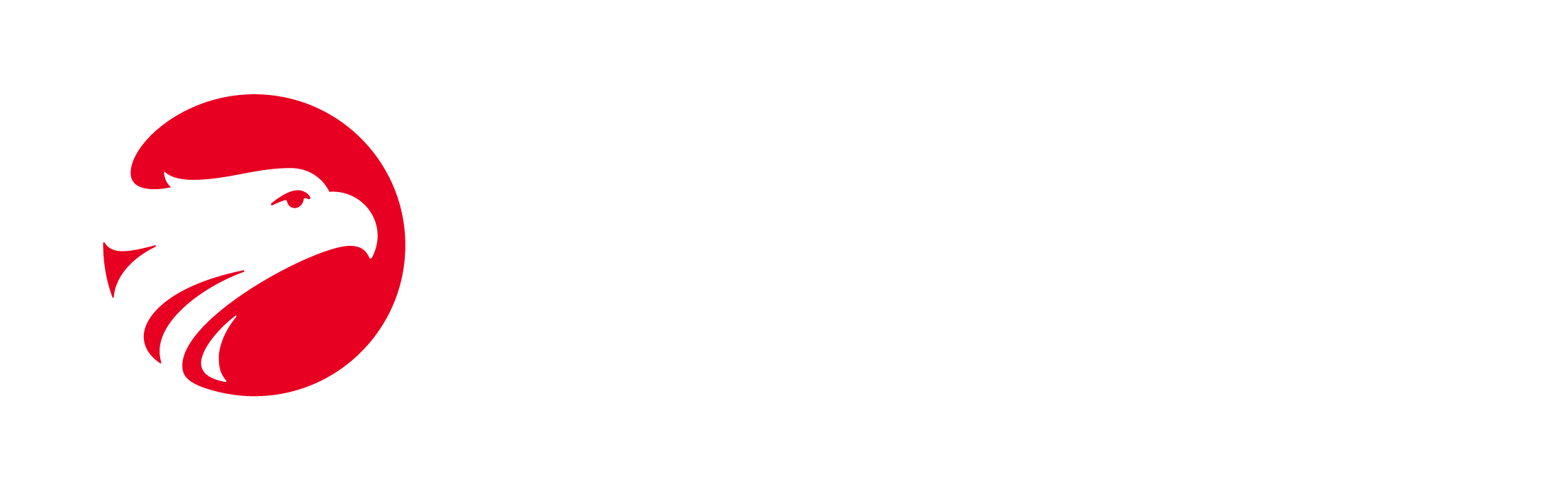 Wizard by Pearson